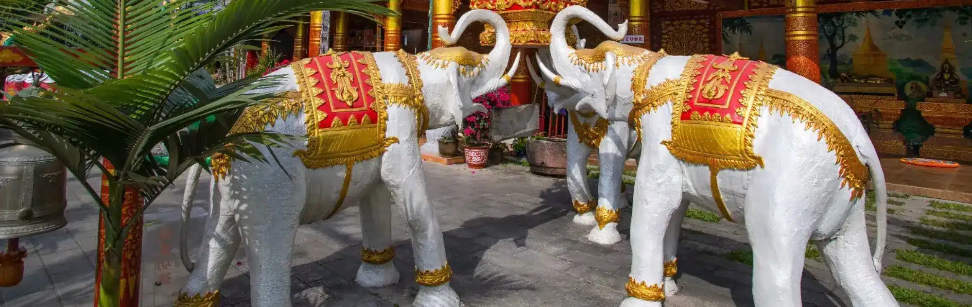 Xishuangbanna Dai Minority Park head