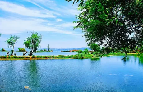 Dianchi Lake in Summer - China Xian Tour: Private & Tailor-Made China Tours Dianchi Lake in Summer