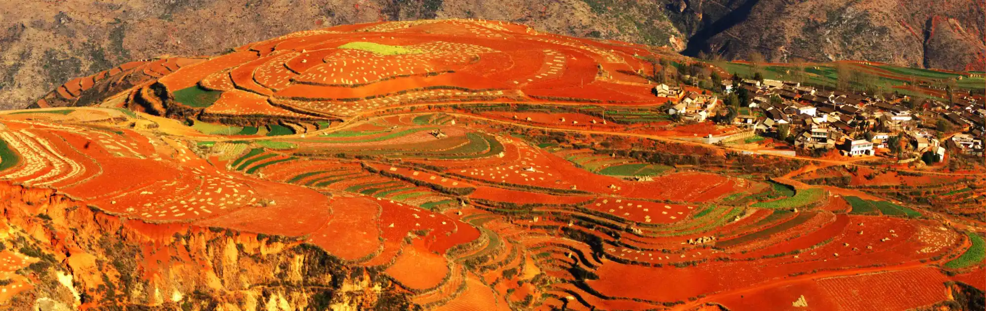 Dongchuan Red Land head