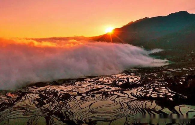 Yunnan Yuanyang Duoyishu Rice Terrace