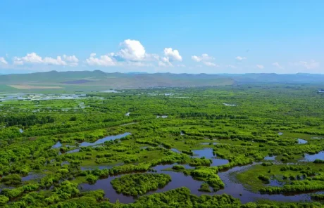 Ergun Wetland