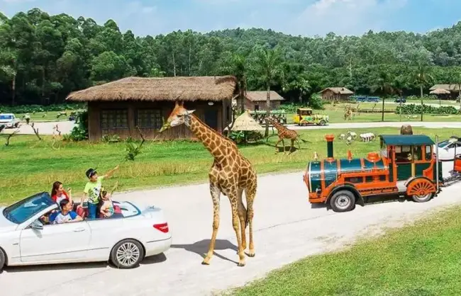 Guangzhou Chimelong Safari Park - China Xian Tour: Private & Tailor-Made China Tours Guangzhou Chimelong Safari Park