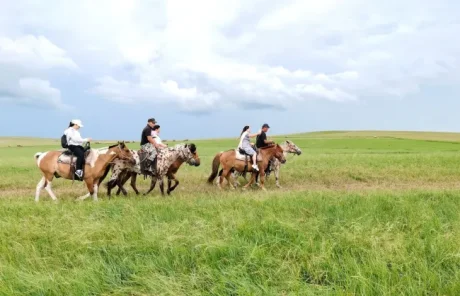 Inner Mongolia Hulunbuir Grassland Horse Ride