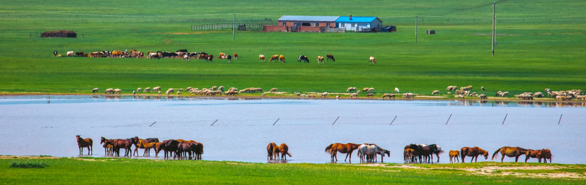 Inner Mongolia Hulunbuir Travel Guide head