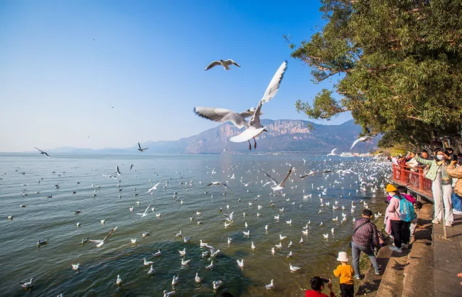 Kunming Haigeng Park Dianchi Lake