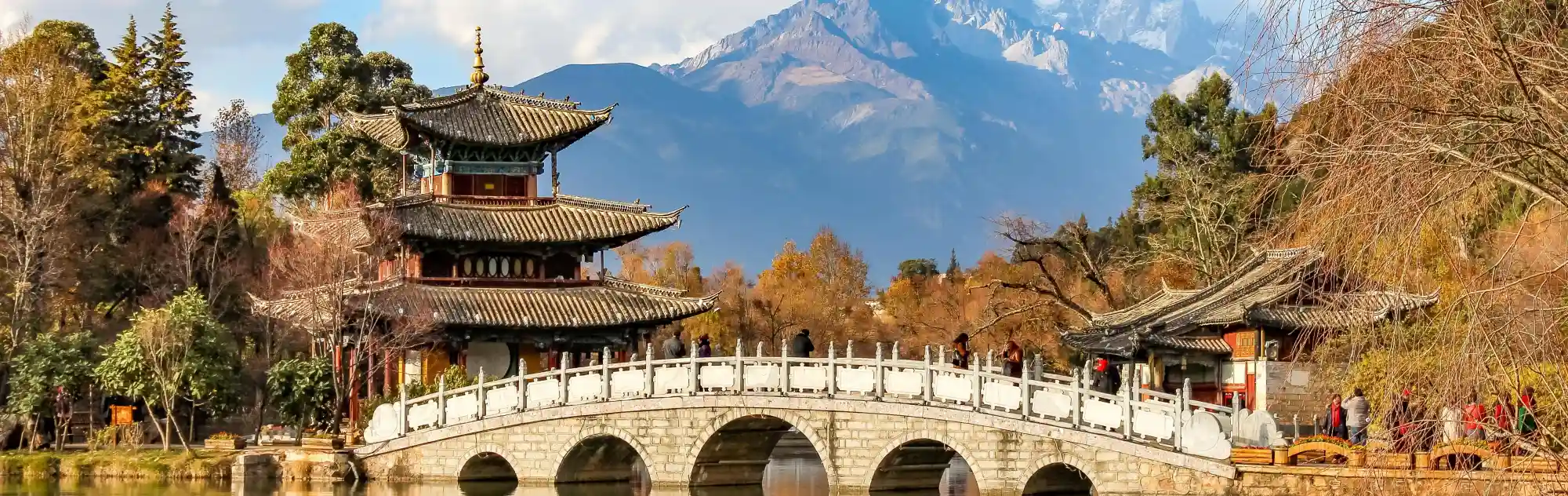Lijiang Black Dragon Pool head