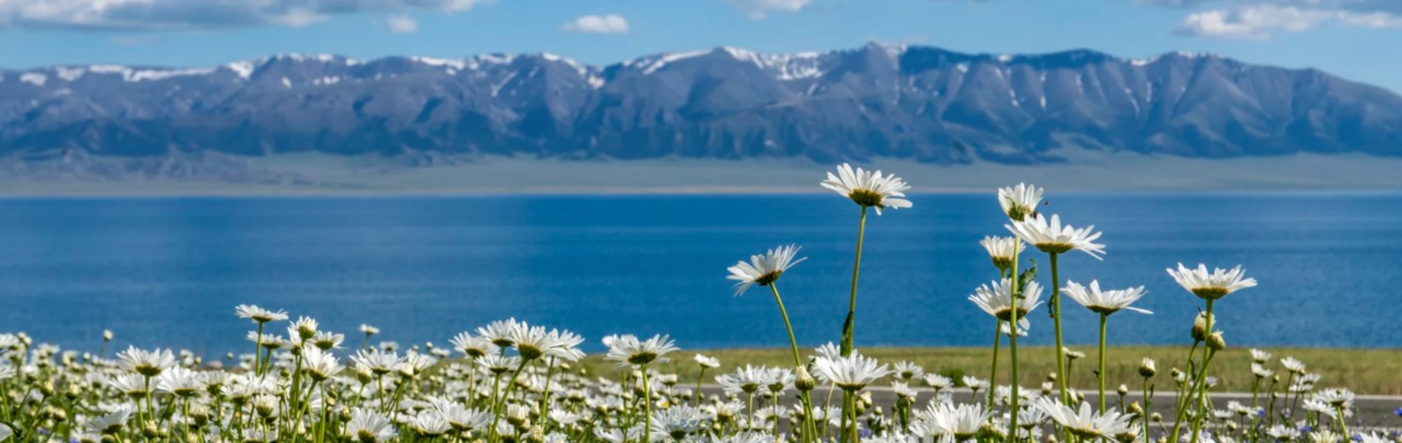Xinjiang Sayram Lake head