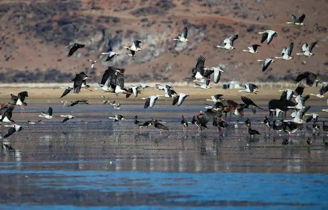Yunnan Shangri-La Napahai Lake