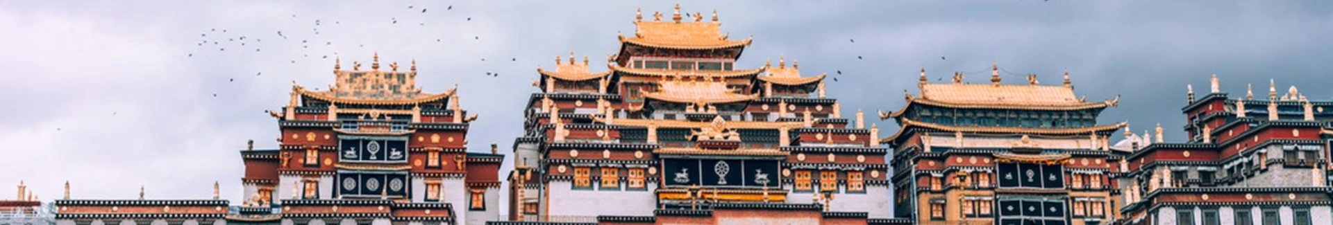 Yunnan Shangri-La head