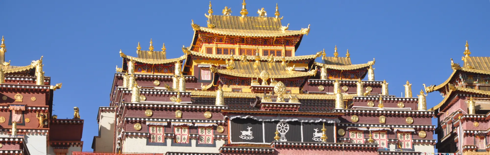 Yunnan Shangri-La Songzanlin Monastery head