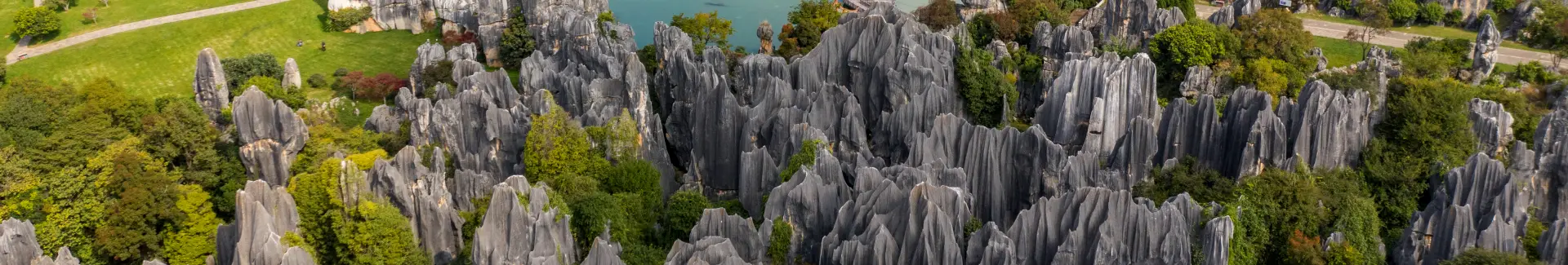Stone Forest Kunming head
