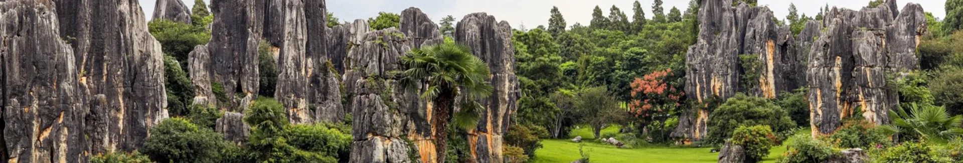 Yunnan Kungming Stone Forest head