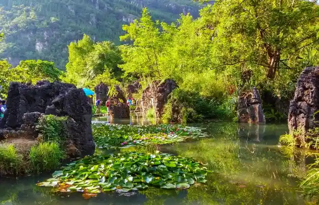 Stone Forest in Water - China Xian Tour: Private & Tailor-Made China Tours Stone Forest in Water in Tianxingqiao Scenic Area