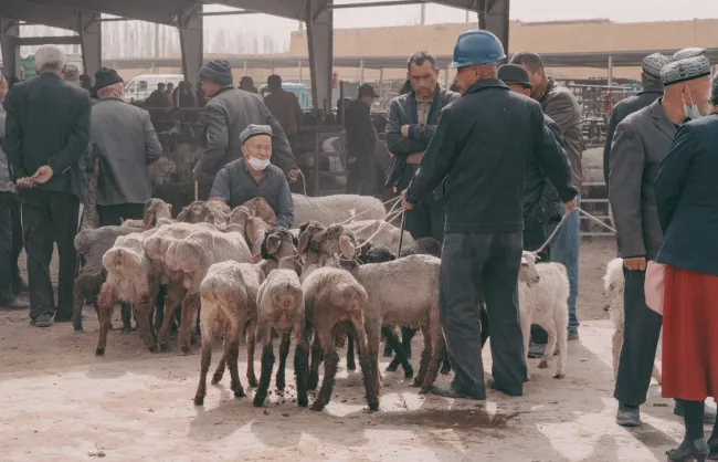 Xinjiang Kashgar Sunday Livestock Bazaar