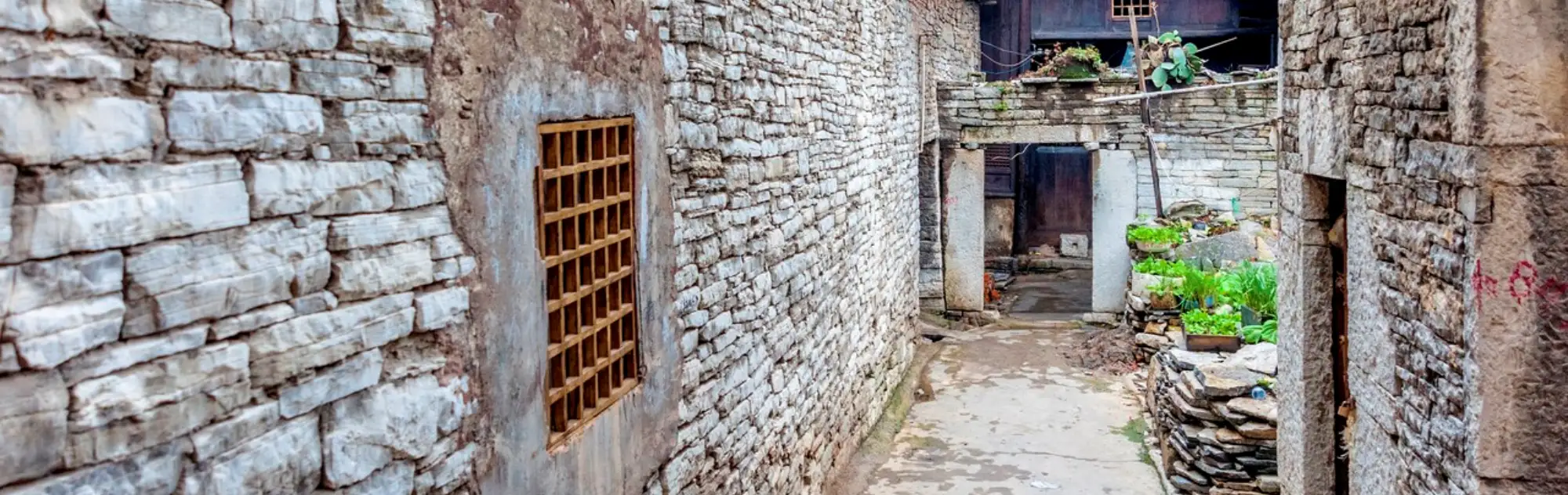 Guizhou Tianlong Tunpu head