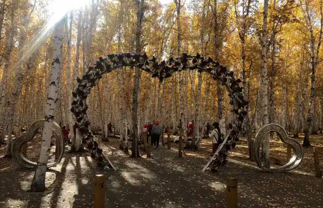 White-Birch-Forest-Heart-Decoration - China Xian Tour: Private & Tailor-Made China Tours White-Birch-Forest-Heart-Decoration