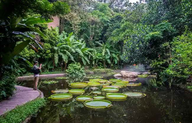 Xiamen Botanical Garden – the Oasis of Xiamen