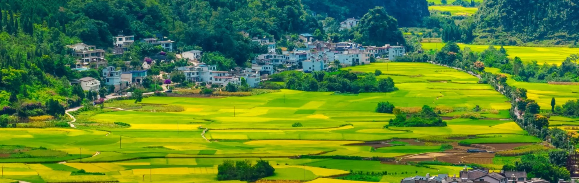 Xingyi Travel Guide head