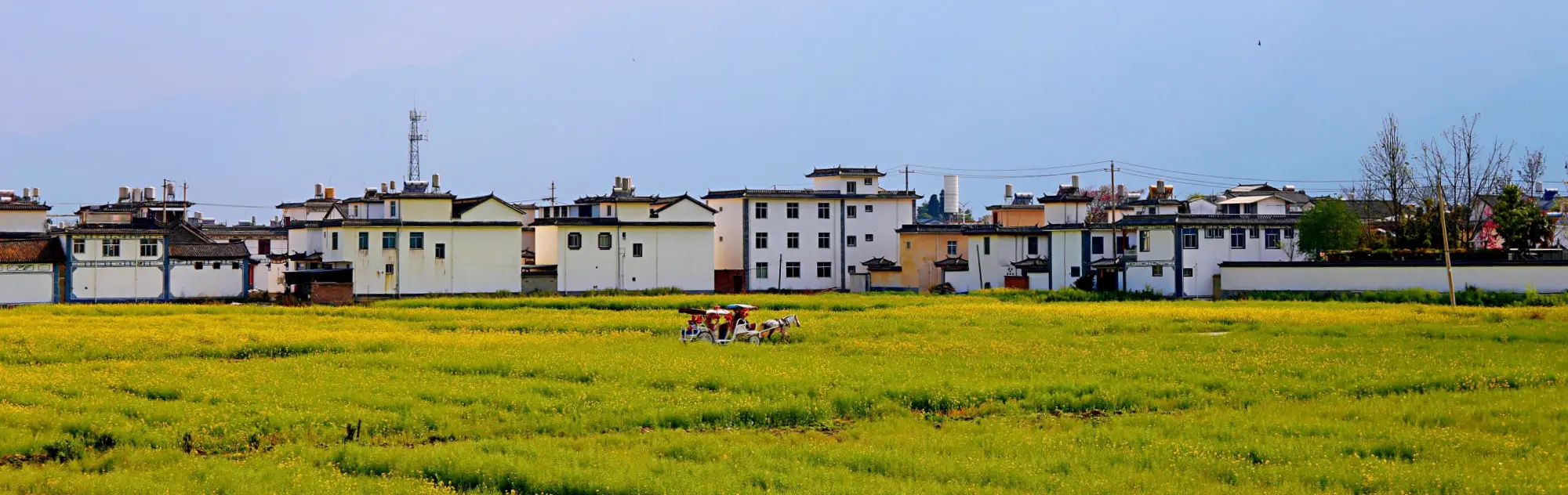 Yunnan Dali Xizhou Town head