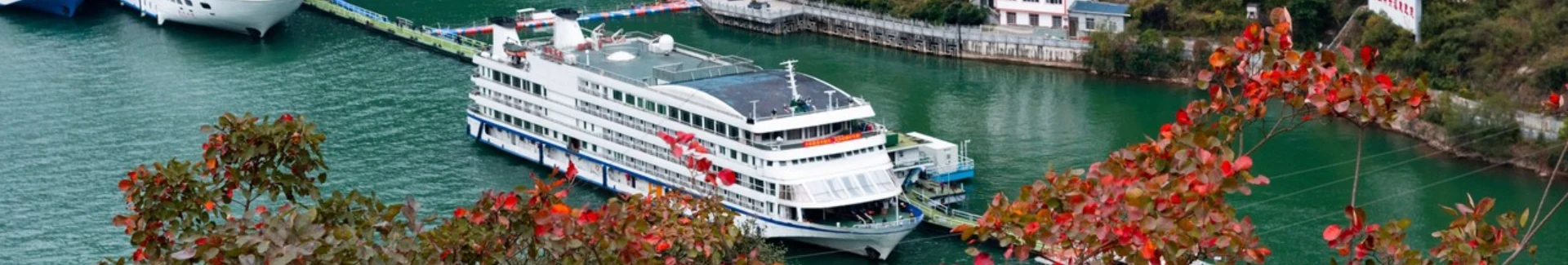 Yangtze River Cruise head