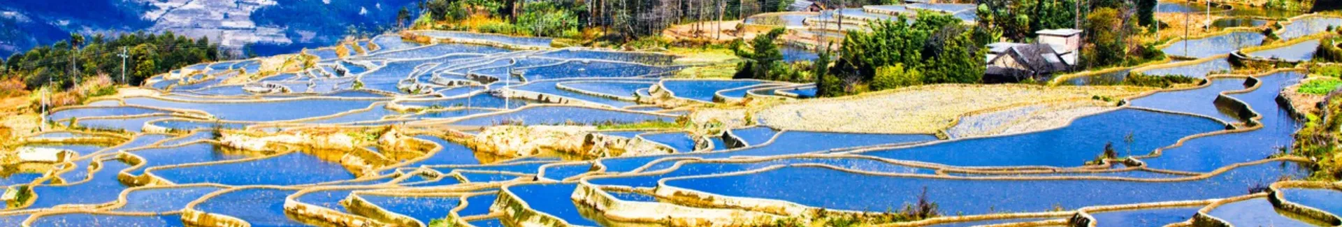 Yunnan Yuanyang Rice Terraces head