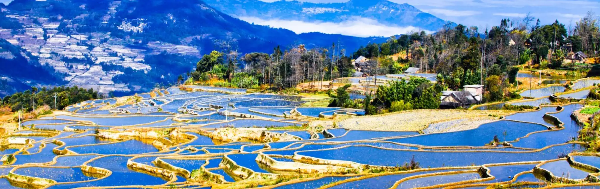 Yunnan Yuanyang Rice Terraces head