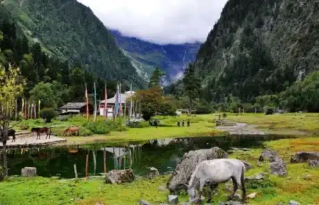 Yunnan Shangri-La tour to Yubeng Village