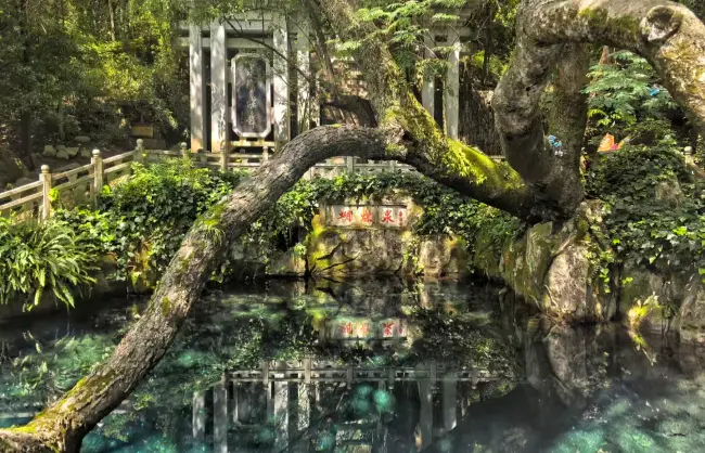 butterfly spring | China Xian Tour: Private & Tailor-Made China Tours Butterfly Spring of Cangshan Mountain, Dali, Yunnan