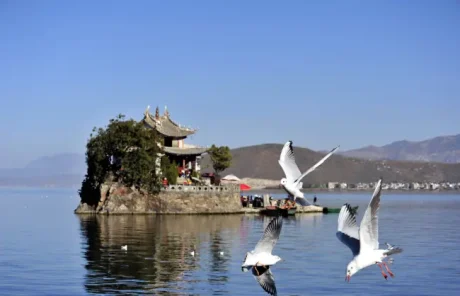 dali-erhai-lake-island - China Xian Tour: Private & Tailor-Made China Tours Erhai Lake cruise to visit island
