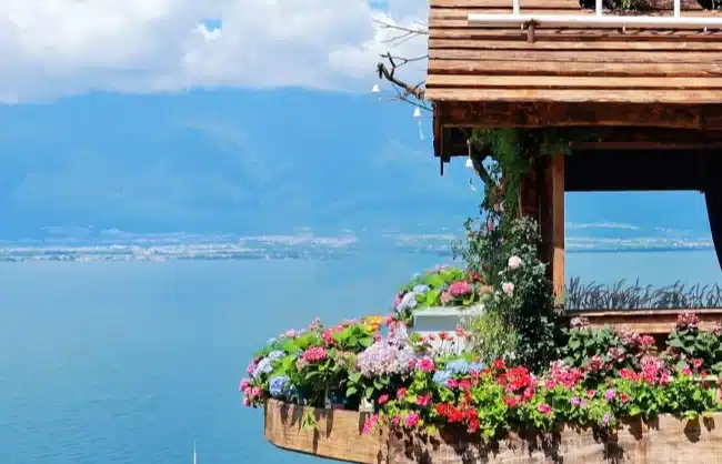 erhai lake in yunnan in summer - China Xian Tour: Private & Tailor-Made China Tours Erhai Lake in Yunnan in summer