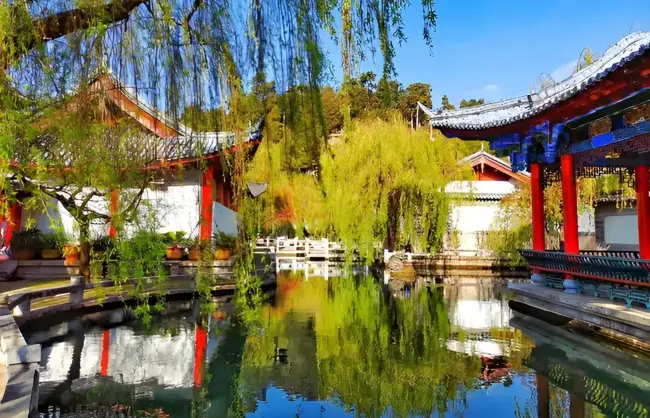 mufu-garden