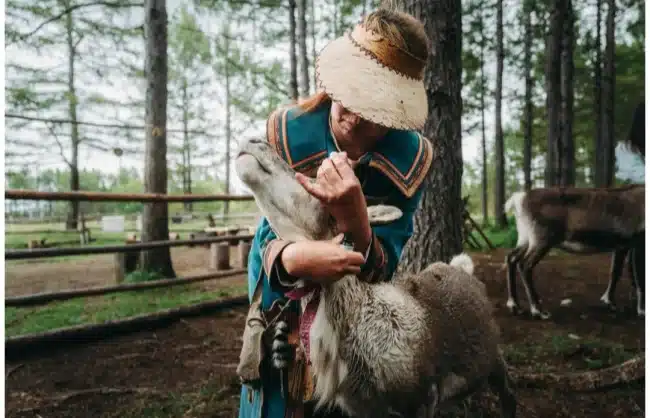 reindeer ewenki - China Xian Tour: Private & Tailor-Made China Tours Reindeer Ewenki