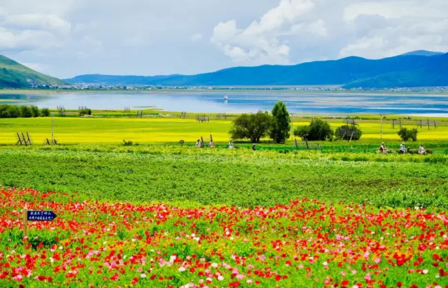 summer in shangri-la - China Xian Tour: Private & Tailor-Made China Tours Summer in Shangri-La