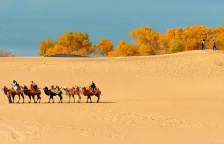 taklamakan desert - China Xian Tour: Private & Tailor-Made China Tours Taklamakan Desert