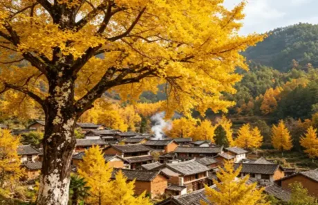 tengchong-ginkgo-village | China Xian Tour: Private & Tailor-Made China Tours Tengchong Ginkgo Village
