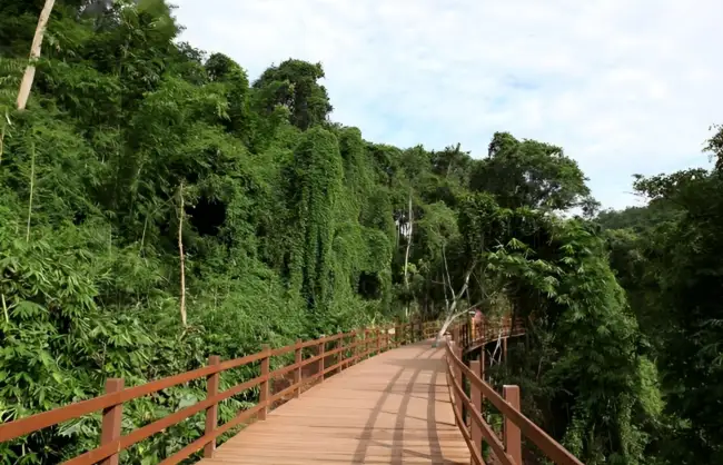 wild-elephant-valley-hiking-trail - China Xian Tour: Private & Tailor-Made China Tours wild-elephant-valley-hiking-trail