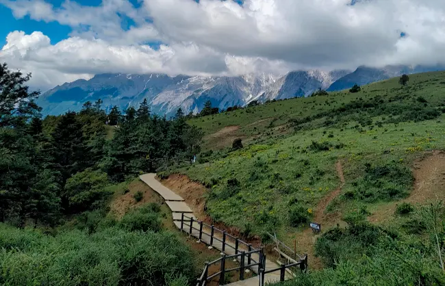 yak-meadow | China Xian Tour: Private & Tailor-Made China Tours Jade Dragon Snow Mountain Yak Meadow