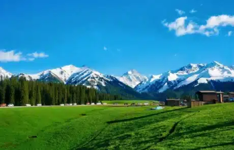 yili in xinjiang - China Xian Tour: Private & Tailor-Made China Tours Yili in Xinjiang