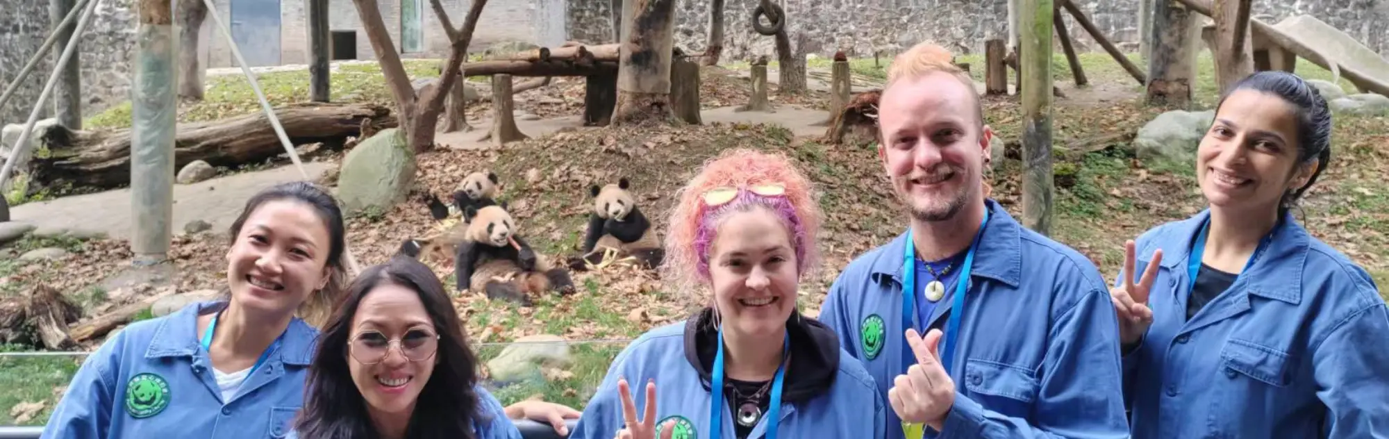 Dujiangyan Panda Base head