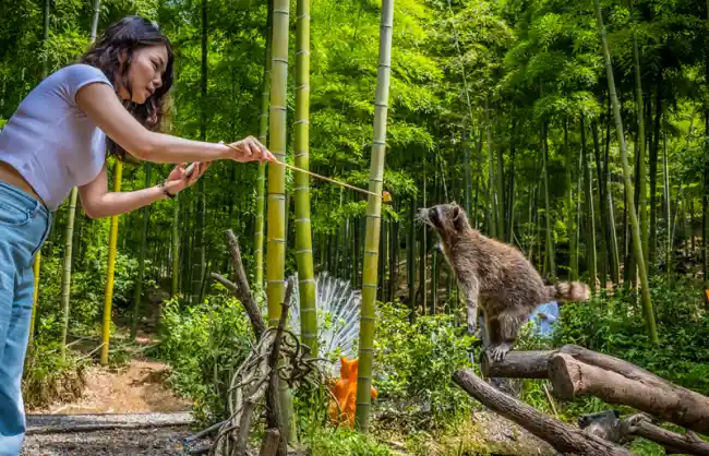 Giraffe Manor Huzhou