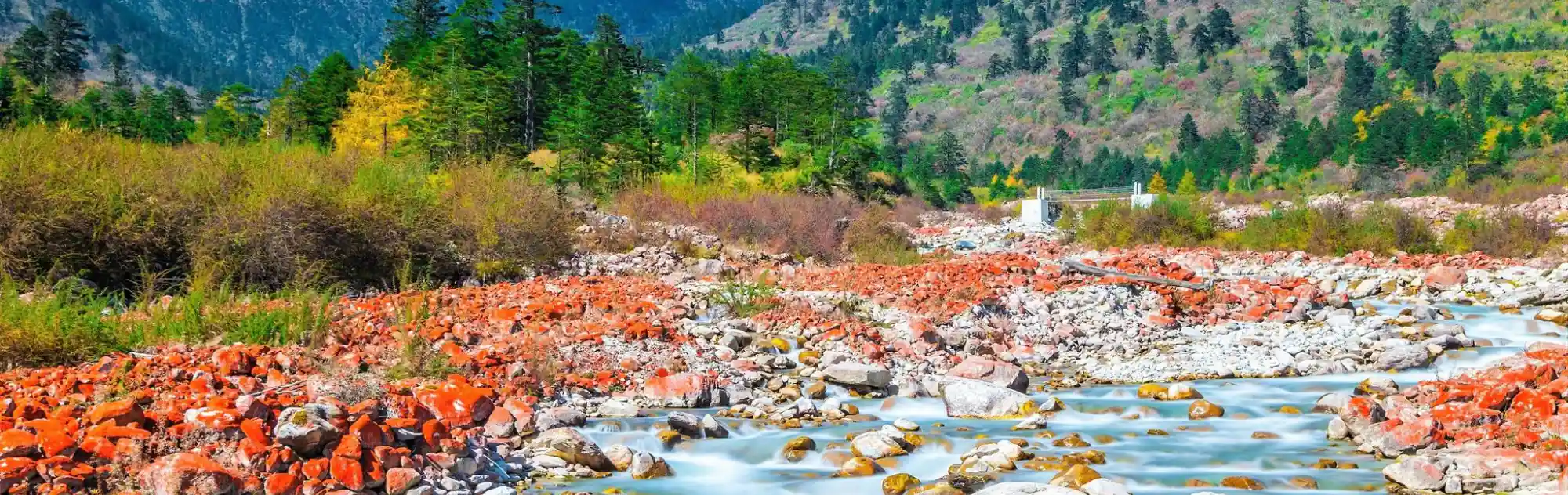 Hailuogou National Park head
