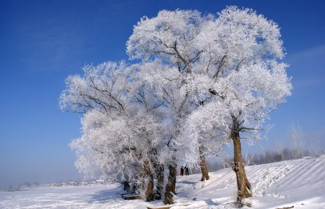 Jilin Rime Island