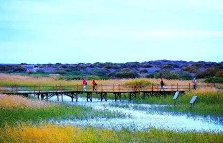 Juyan Lake Wetland Park - China Xian Tour: Private & Tailor-Made China Tours Ejin Banner Juyan Lake Wetland Park