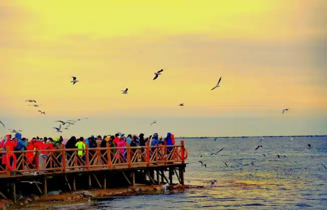 Juyan Lake Wetland Park - China Xian Tour: Private & Tailor-Made China Tours Ejin Banner Juyan Lake Wetland Park