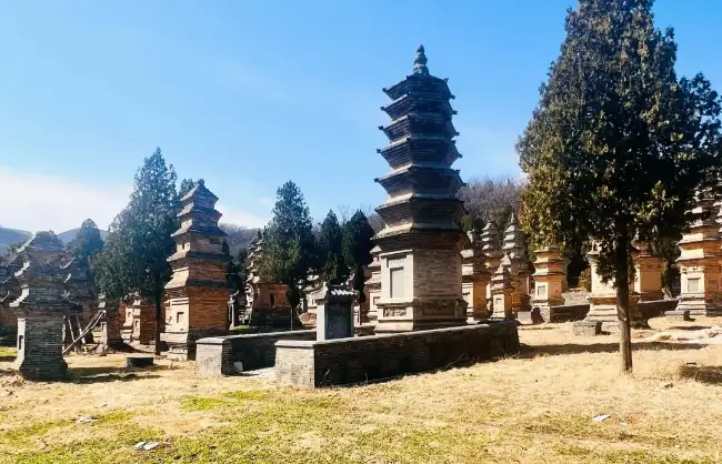Pagoda Forest at Shaolin Temple - China Xian Tour: Private & Tailor-Made China Tours Pagoda Forest at Shaolin Temple