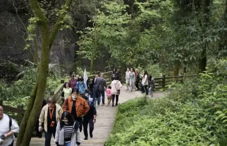 Qingcheng Mountain - China Xian Tour: Private & Tailor-Made China Tours Dujiangyan Qingcheng Mountain