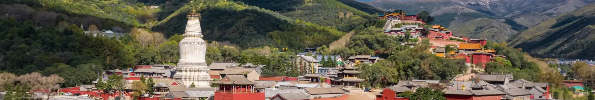Shanxi Mount Wutai head