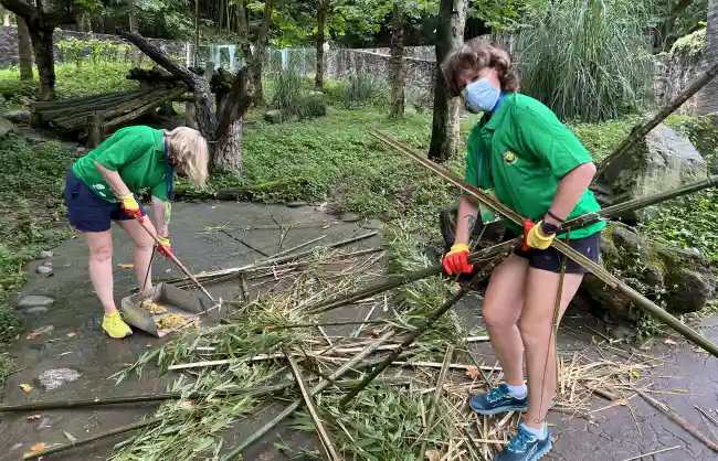 Wolong Panda Base Volunteer - China Xian Tour: Private & Tailor-Made China Tours Wolong Panda Base Volunteer