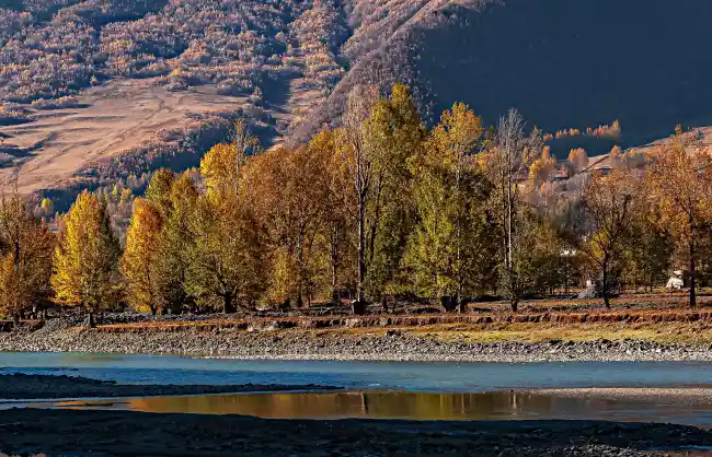 Xinduqiao in Autumn - China Xian Tour: Private & Tailor-Made China Tours Xinduqiao in Autumn