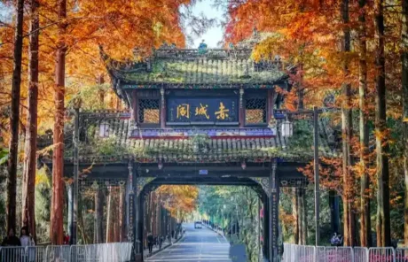 qingcheng mountain in autumn - China Xian Tour: Private & Tailor-Made China Tours Chengdu Qingcheng Mountain